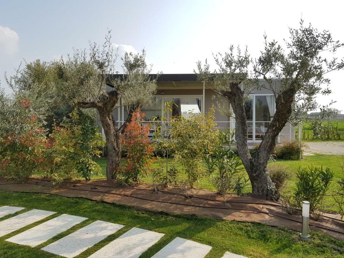 Agricampeggio Oasi Del Garda Lazise Exterior foto
